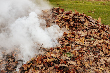 A pile of dry leaves being burned outdoors, releasing thick white smoke. The leaves are mostly...