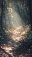 Fototapeta premium Explore the serene beauty of a blurry forest path with sunlight filtering through trees