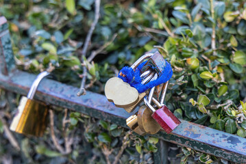 Closed love locks in the park as a sign of eternal love. High quality photo