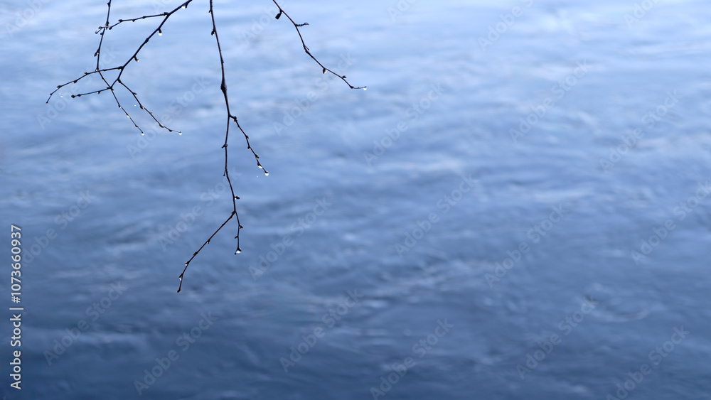Aufkleber a branch is floating in the water with a blue sky in the background. the water is calm and the sky i