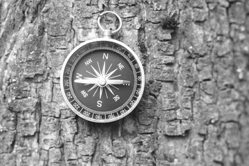 Classic navigation compass on natural background