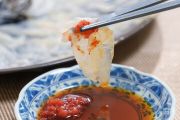 日本料理 ふぐ刺し（紅葉おろしとポン酢）