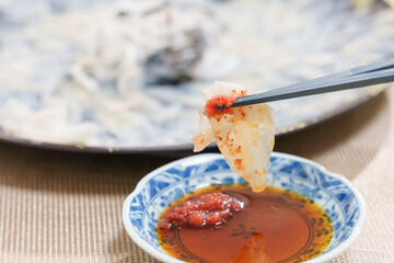 日本料理 ふぐ刺し（紅葉おろしとポン酢）