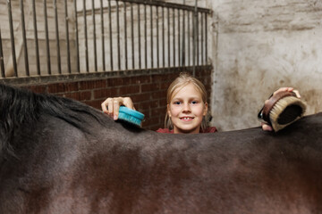 Naklejka premium Young little teenager kid girl cleaning grooming chestnut horse back hair brush tool horse at stable ranch. Horse ride school farm life. Cute little blond girl kid care brown horse. Equine hobby work