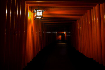 darkly lit path - Japanese shrine or temple