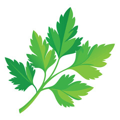 Naklejka premium parsley vector illustration in watercolor style
