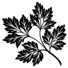 parsley vector illustration in watercolor style