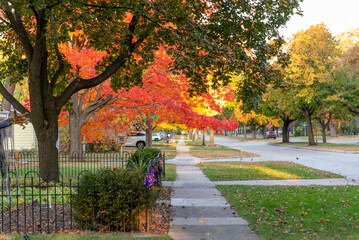 Naklejka premium A City Street In Morning Light During Halloween Season In Wisconsin