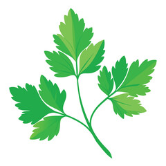 Naklejka premium parsley vector illustration in watercolor style
