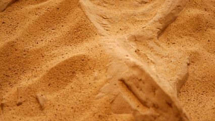 Triceratops or Protoceratops Bones or Fossils Buried in Desert Sand