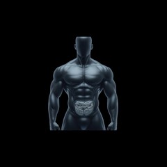 Fototapeta premium A stylized human figure with a muscular build, showcasing a transparent midsection that reveals internal organs, set against a dark background.