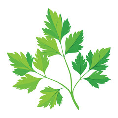 Naklejka premium parsley vector illustration in watercolor style