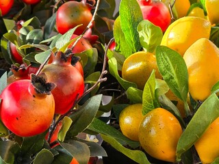 Artful decorative lemons and pomegranates for the interior