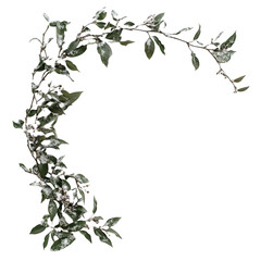 frame of leaves