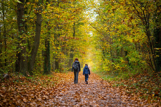 Une balade en for&ecirc;t en automne entre une m&egrave;re et sa fille