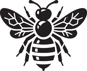 Fototapeta premium Bee Vector