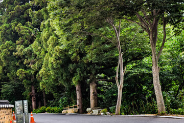 韓国・釜山、梵魚寺を散策する