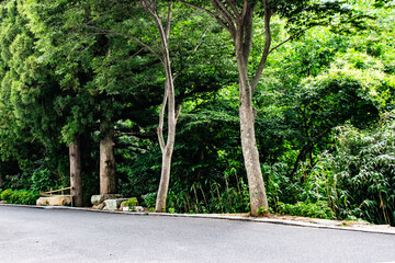 韓国・釜山、梵魚寺を散策する