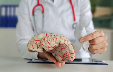 Doctor with gray ribbon and human brain anatomy model. Brain cancer awareness treatment with brain tumors, brain stroke