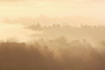 Obraz premium misty morning in the ireng mountain