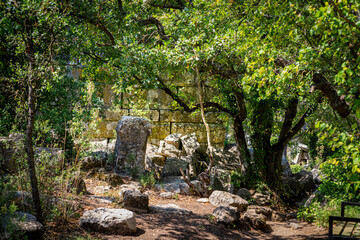 Ruins of the ancient city of Termessos in Turkey. Still unexplored by archaeologists.