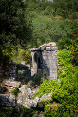 Ruins of the ancient city of Termessos in Turkey. Still unexplored by archaeologists.