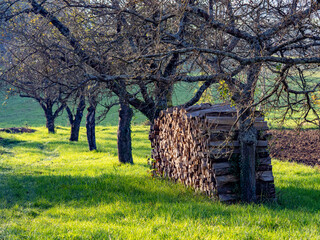 Brennholz Lager im Freien © focus finder