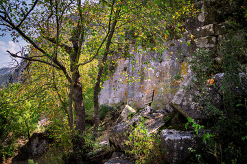 Ruins of the ancient city of Termessos in Turkey. Still unexplored by archaeologists.