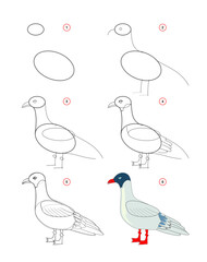 How to draw a cute little seagull. Educational page for children. Creation step by step animal illustration. Printable worksheet for kids school exercise book. Online education. Vector drawing.