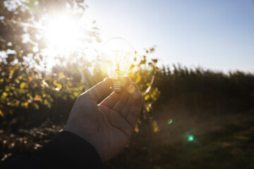 man hand bulb in nature