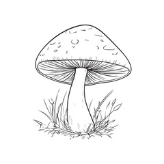 illustration of mushroom