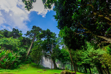 Abstract blurred background of a stream flowing rapidly from rocks in a deep forest, natural waterfalls that occur naturally during the rainy season, the completeness of the ecosystem, fresh air.