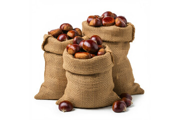 Burlap bags filled with chestnut isolated on white.