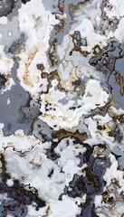 texture motif. texture pattern. marble motif. camouflage. abstract motif. ceramics