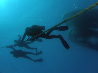 Sport diving is a group of underwater sports disciplines. This is a fairly young direction of underwater sports, but sport diving disciplines are officially recognized in the world