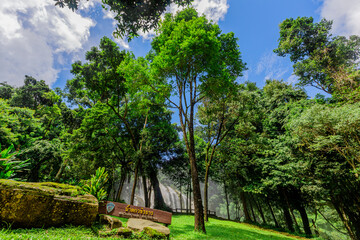Abstract blurred background of a stream flowing rapidly from rocks in a deep forest, natural waterfalls that occur naturally during the rainy season, the completeness of the ecosystem, fresh air.