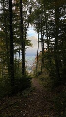 Fototapeta premium Hiking Switzerland Interlaken Harder Kulm