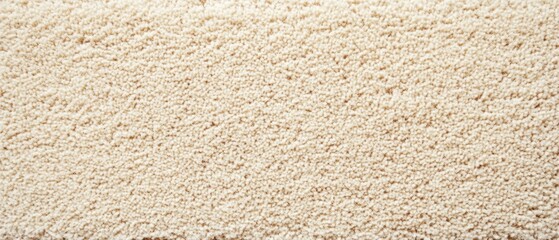 Stylish soft beige carpet