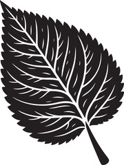 Obraz premium Leaf Vector