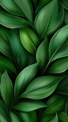  A close-up of a lush green plant with an abundance of foliage on both the upper and lower sides
