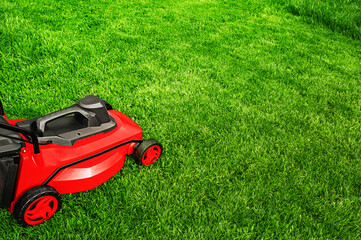 Red lawnmower on the lawn