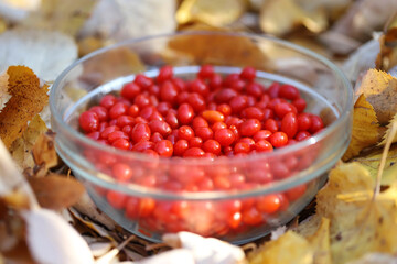 Red goji berries in a glass bowl