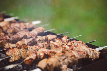 Barbecue pork on the grill, fried on coals on skewers. Fatty red meat on an open fire.