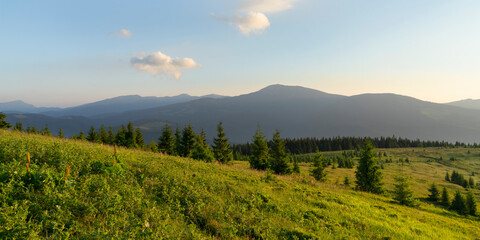 Carpathian mountains in summer