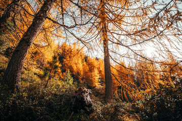Herbststimmung in den Alpen