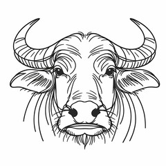 Detailed Line Art of Buffalo Face with Large Curved Horns and Textured Fur
