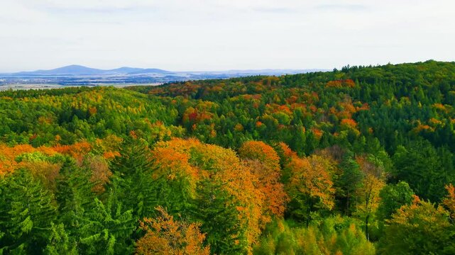 Blue Ridge Mountains, Georgia Drone flyover of mountain forest of trees changing colors in Chattahoochee-Oconee National Forest.