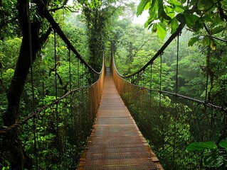 A wooden rope bridge in a lush green jungle.