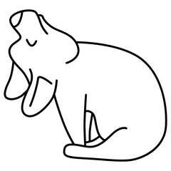 Corgi puppy yoga pose