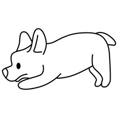 Corgi puppy yoga pose
